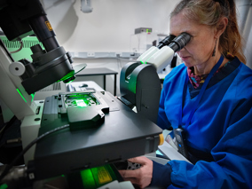 Trial microscoop lab