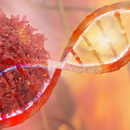 DNA Strand Cancer Cell Oncology Concept 3D Adobestock 159579362 (1)