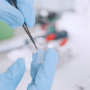 Lab 02