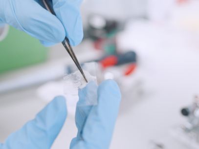 Lab 02